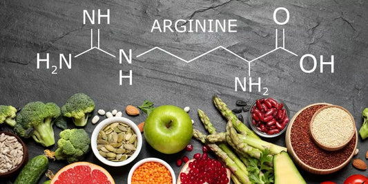 Die Aminosäure L-Arginine