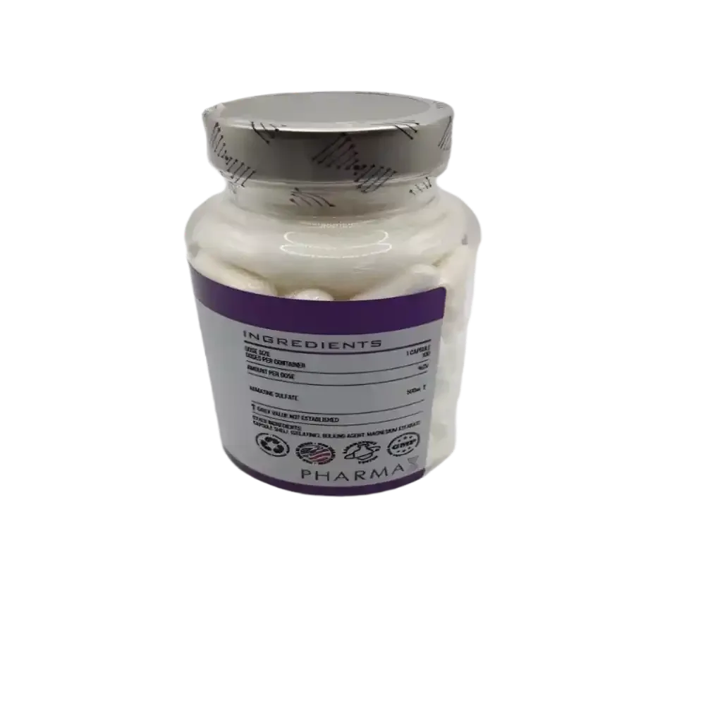 Agma-tin Pre Workout Pump Booster 100Kapseln - Supplement Support