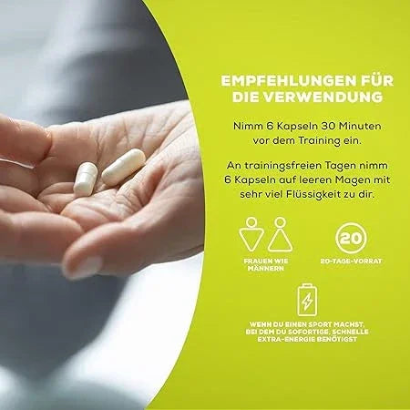 BioTech USA Creator 4 Komponenten Creatin - Supplement Support