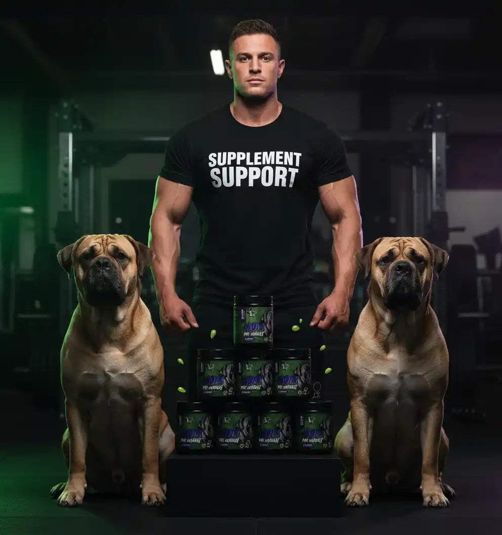 Hades Hardcore Pre Workout Booster 395g