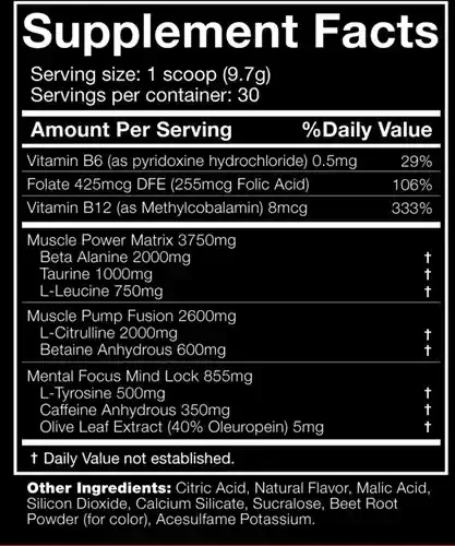 JNX The SHADOW Pre Workout Booster 270g - Supplement Support