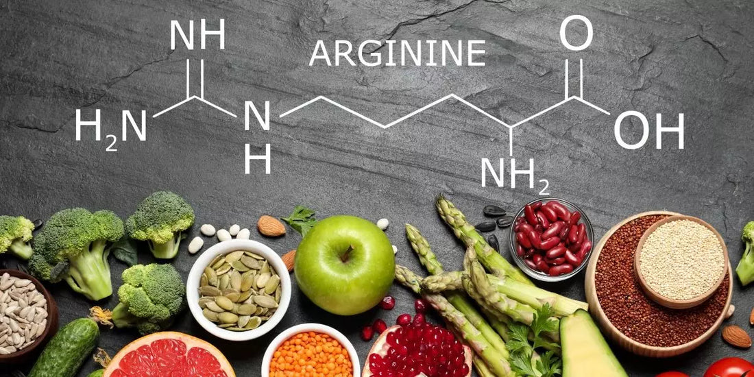 Die Aminosäure L-Arginine