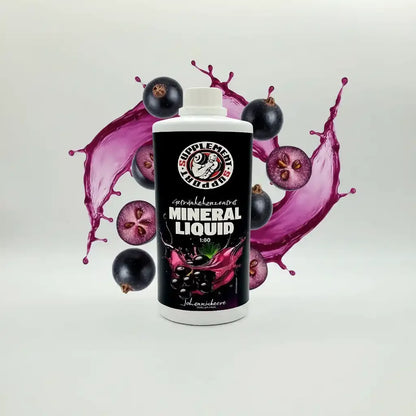 1000ml Sirup 1:80 von Supplement Support