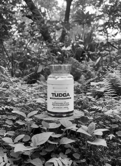 TUDAC 60Kapseln a´250mg -