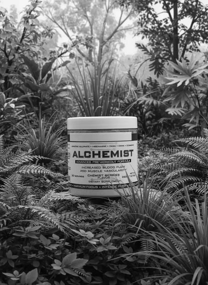 ALCHEMIST US Pre Workout 360G