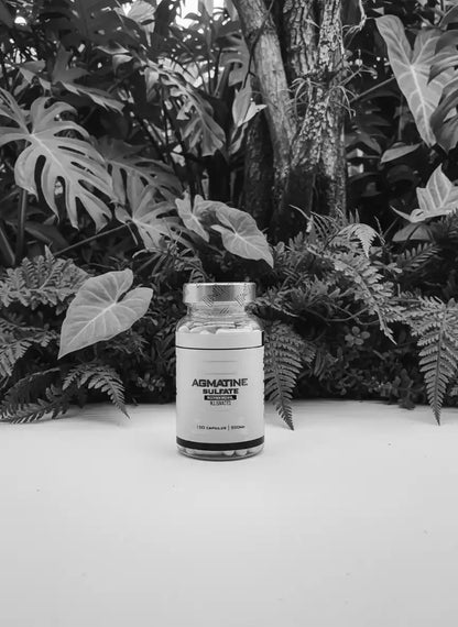 Agma-tin Pump Booster 100Kapseln - Supplement Support