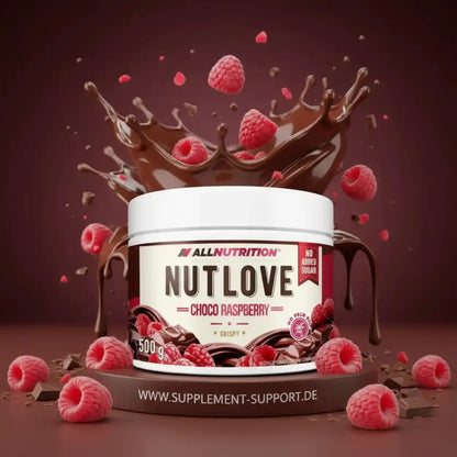 ALL NUTRITION NUT LOVE 500g