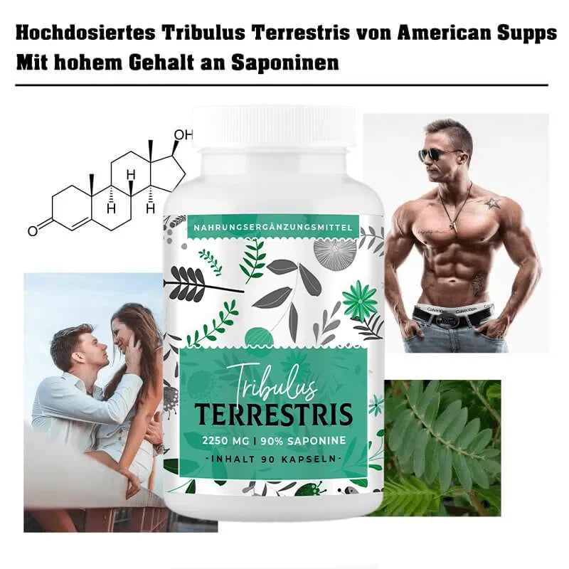 American Supps Tribulus Terrestris - 90 Kapseln - Supplement Support