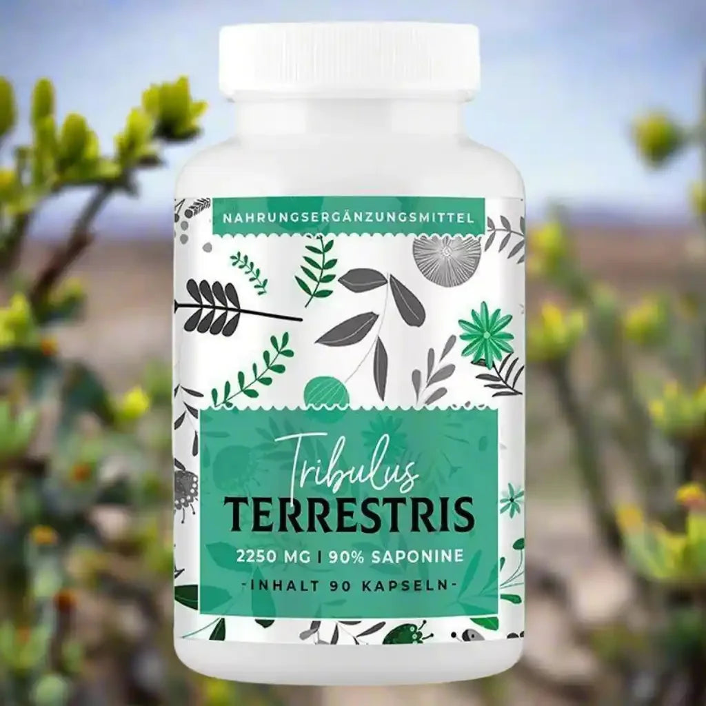 American Supps Tribulus Terrestris - 90 Kapseln - Supplement Support