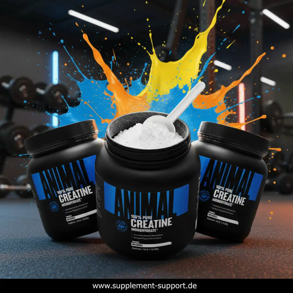 Drei Dosen Animal 100% Pure Creatine Monohydrate mit weißem Pulver vor farbenfrohem Hintergrund