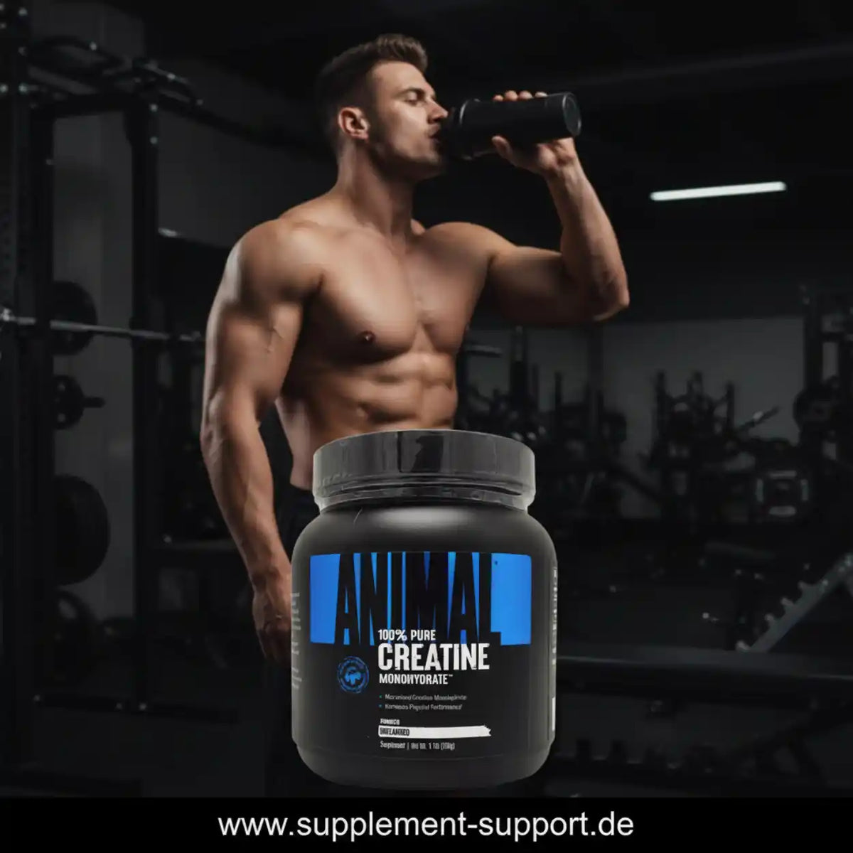 Muskulöser Mann im Fitnessstudio mit einer Dose Animal Creatine Monohydrat.