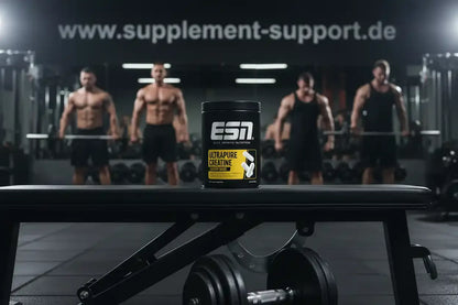 esn-creatine-giga-caps-300-kaps-a-1000mg-supplement-support-1_5__11zon - Supplement Support