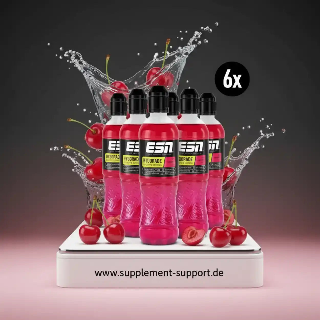 ESN Hydorade/Hydrocharge Sports Drink,6x 500ml inkl. Pfand