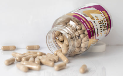7Nutrition Jungle Girl Burner für Frauen 120 Kapseln