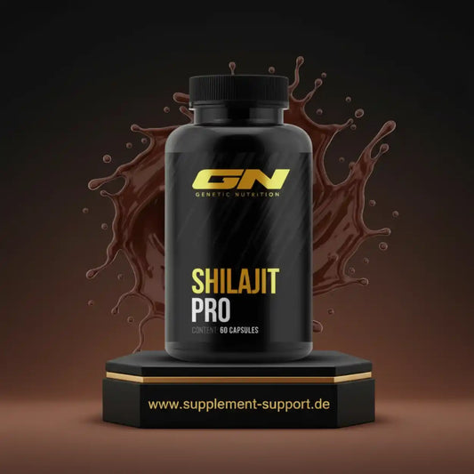 gigas-nutrition-shilajit-pro-60-kapseln-supplement-support-1_11zon - Supplement Support