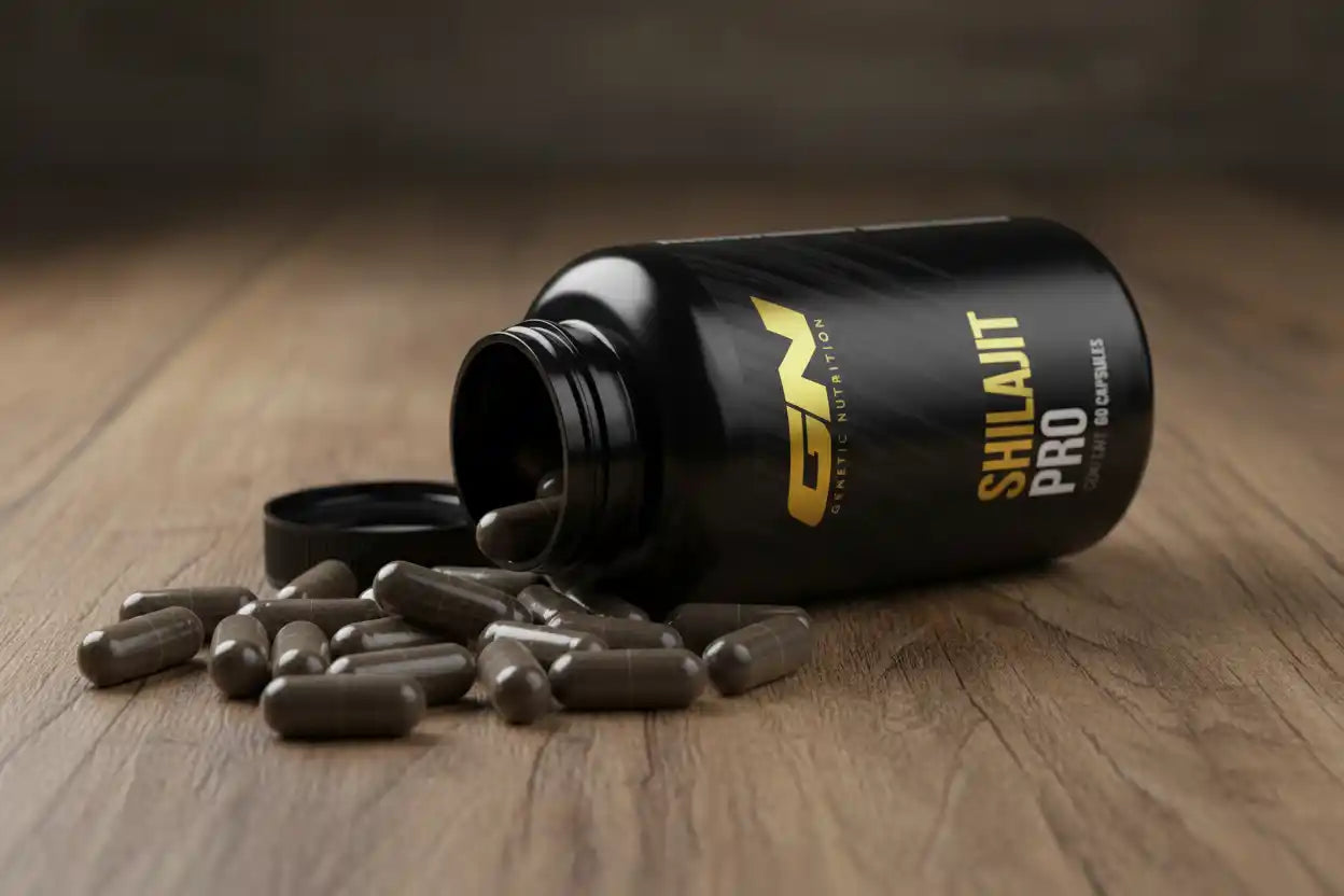 Gigas Nutrition Shilajit PRO · 60 Kapseln