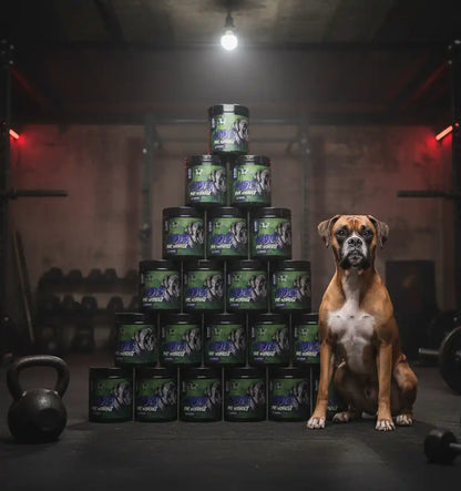 Hades Hardcore Pre Workout Booster 395g