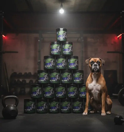 Boxer Hund neben Pyramide aus Pre-Workout Dosen im Fitnessstudio mit Kettlebell