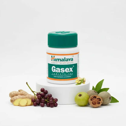 Himalaya Gasex 100 Tabletten
