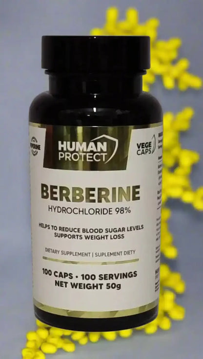 HP Berberine HCL Stack 100 Kapseln 400mg - Supplement Support