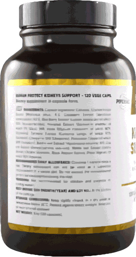 HP Kidneys Support 120 Kaps. - Supplement Support