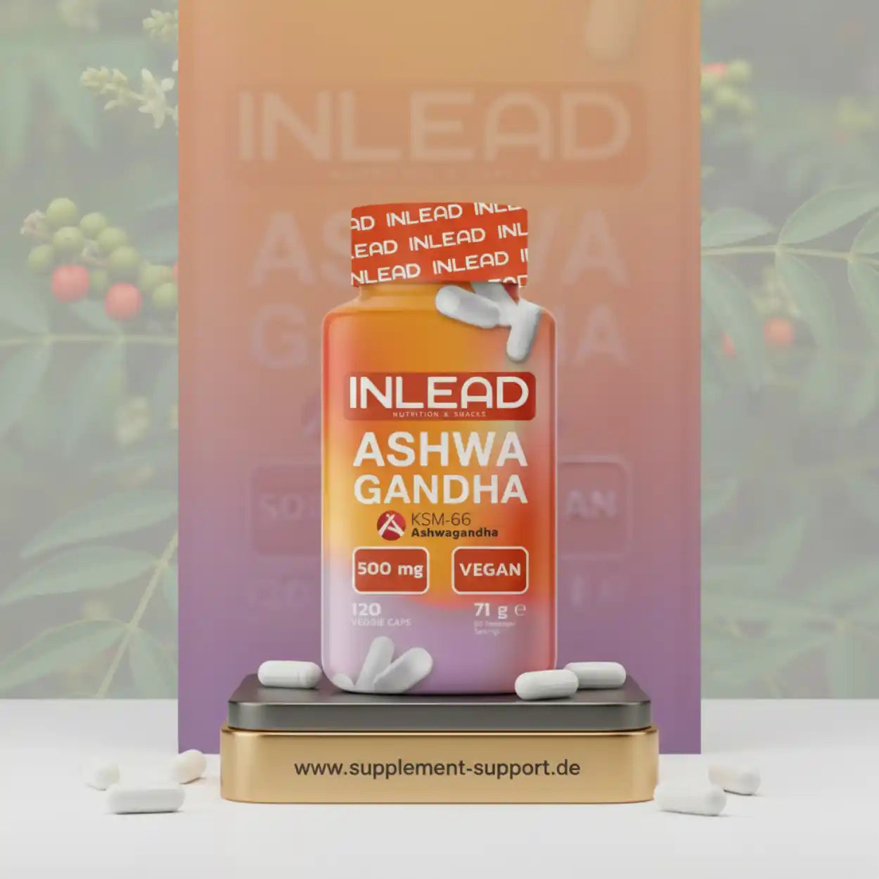 Ashwagandha Inlead KSM-66 120 gélules