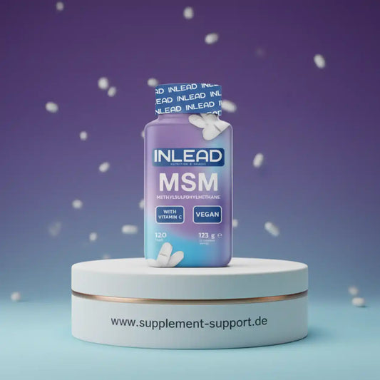 Inlead MSM + Vitamin C 120 Tabs.
