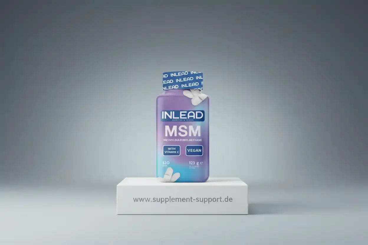 Inlead MSM + Vitamin C 120 Tabs. - Supplement Support