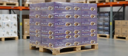 Inlead Protein Pralines 50g