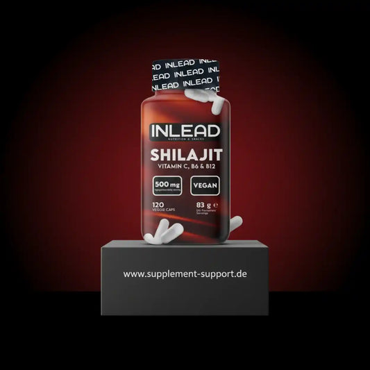 INLEAD Shilajit Kapseln, vegan, Vitamin C, B6, B12, Nahrungsergänzungsmittel, 120 Stück