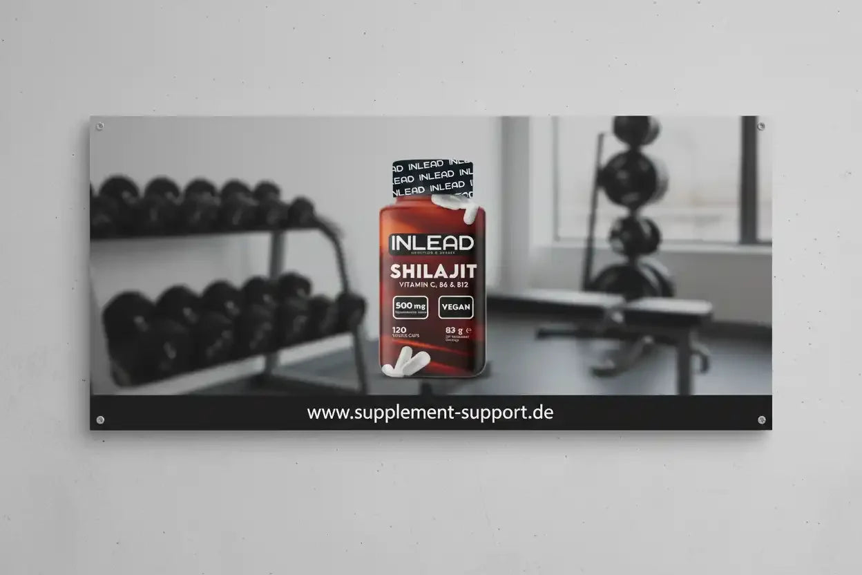 Inlead Shilajit 120 Caps - Supplement Support