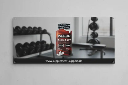 Inlead Shilajit 120 Caps - Supplement Support