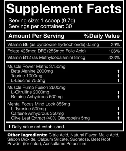 JNX The SHADOW Pre Workout Booster 270g - Supplement Support