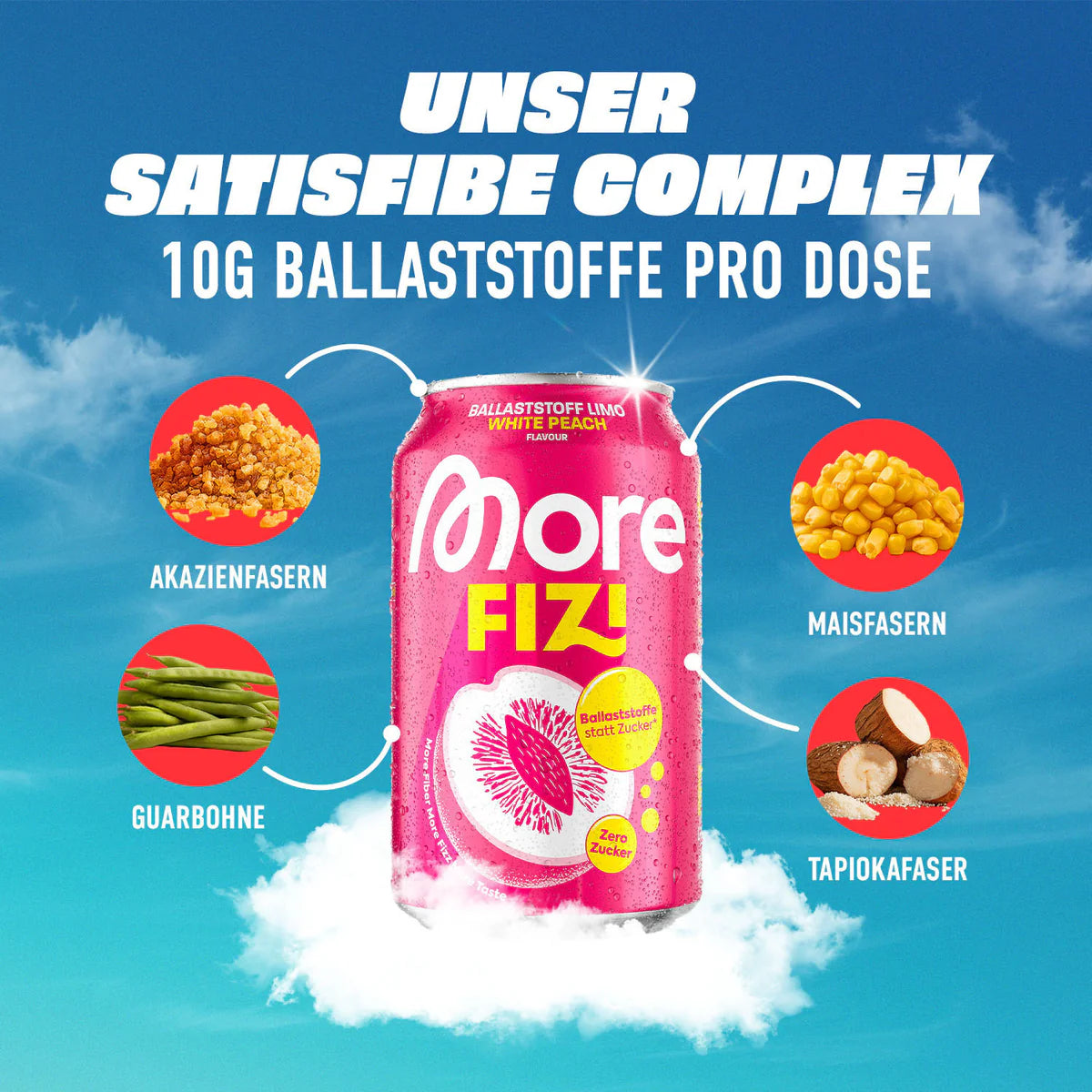 More FIZI 330ml - Supplement Support