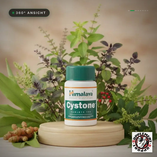 HIMALAYA CYSTONE 100 Tabletten – 360° Spin