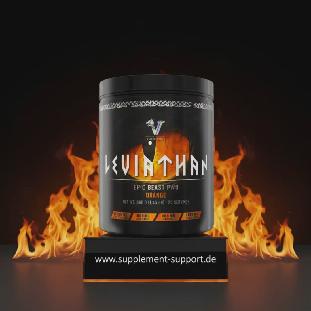 Viking Power Leviathan Hardcore PWO - 660g