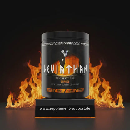 Viking Power Leviathan Hardcore PWO - 660g