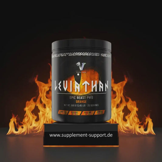 Viking Power Leviathan Hardcore PWO - 660g