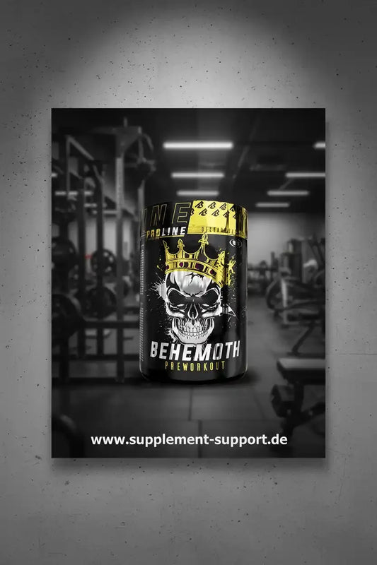 REAL PHARM BEHEMOTH Pre Workout 500g - Supplement Support