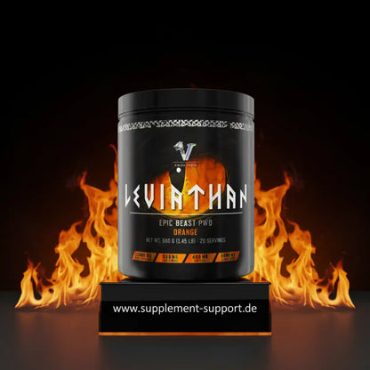 Viking Power Leviathan Hardcore PWO - 660g