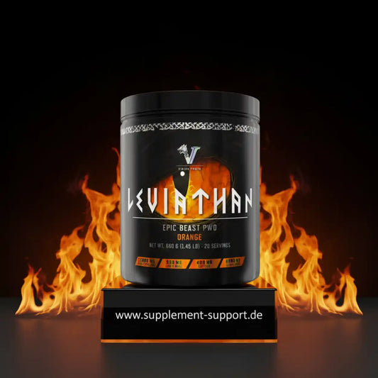 Viking Power Leviathan Hardcore PWO - 660g