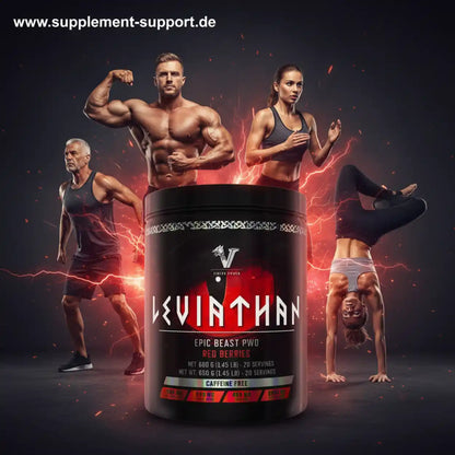Viking Power Leviathan Hardcore PWO Caffeine Free - 660 g