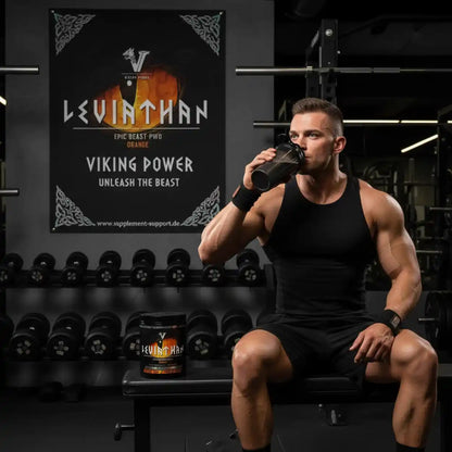 Viking Power Leviathan Hardcore PWO Caffeine Free - 660 g